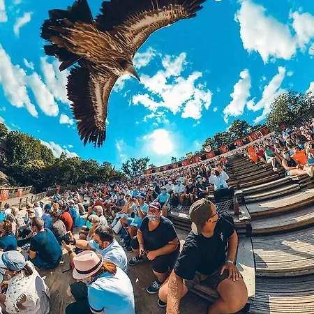 Semesterbostad La Haute Chabossiere 2 Gites A La Campagne Proche Du Puy Du Fou Jusqu'a 17 Couchages Les Herbiers